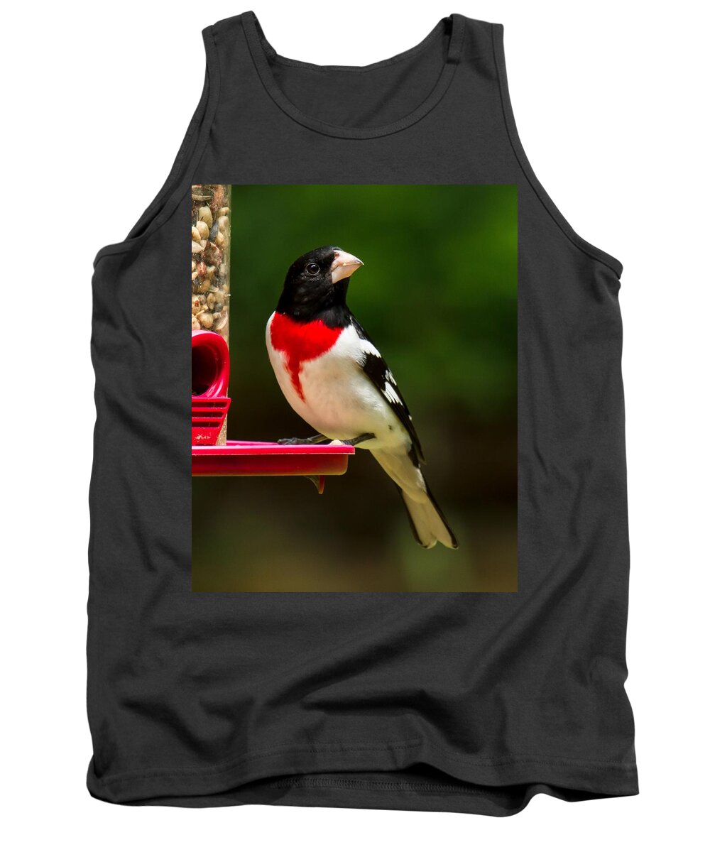 Rose Breasted Grosbeak Tank Top featuring the photograph Like my new suit? by Robert L Jackson