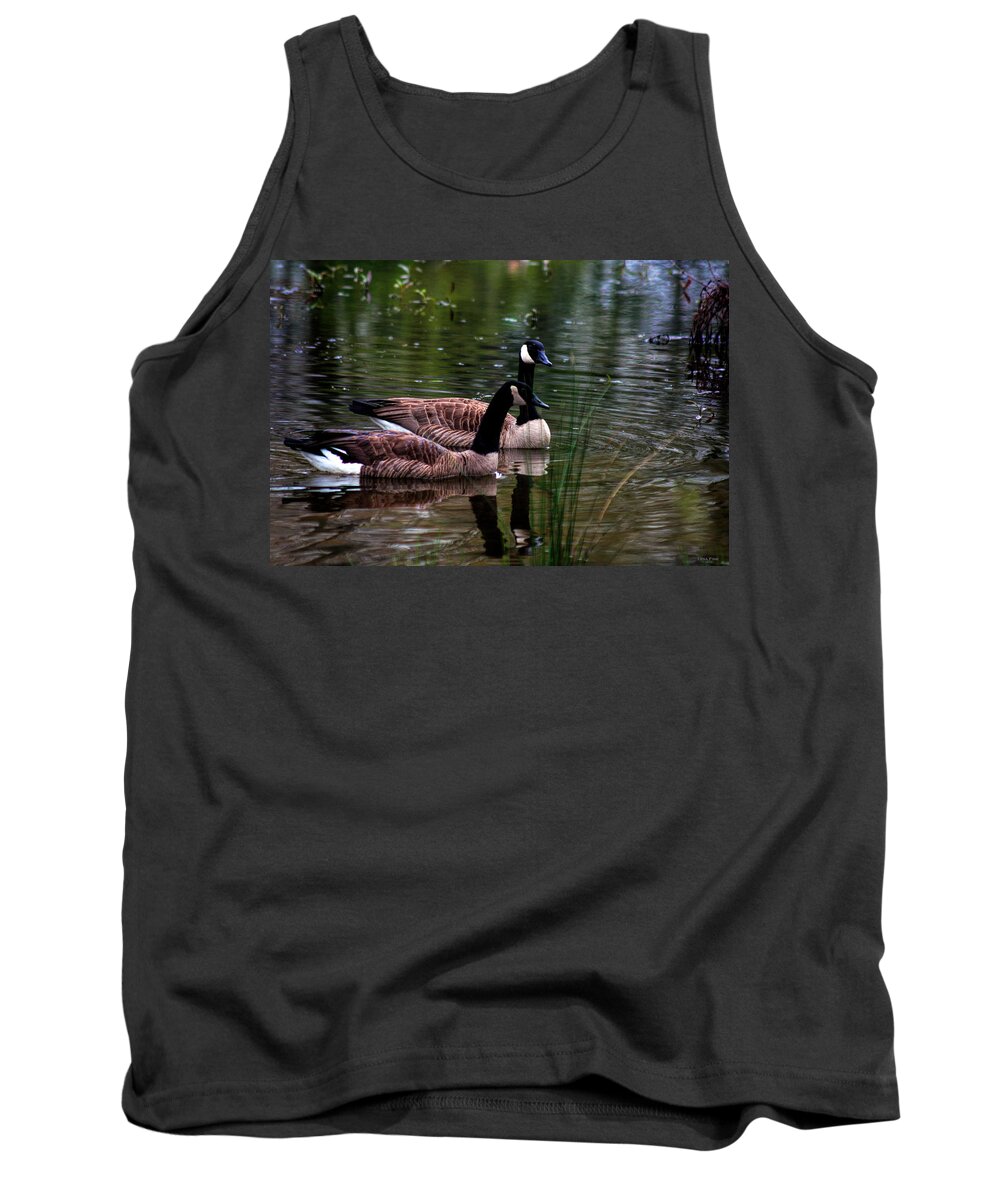 Canadian Goose Tank Top featuring the photograph Lila Goose and the King by Lesa Fine