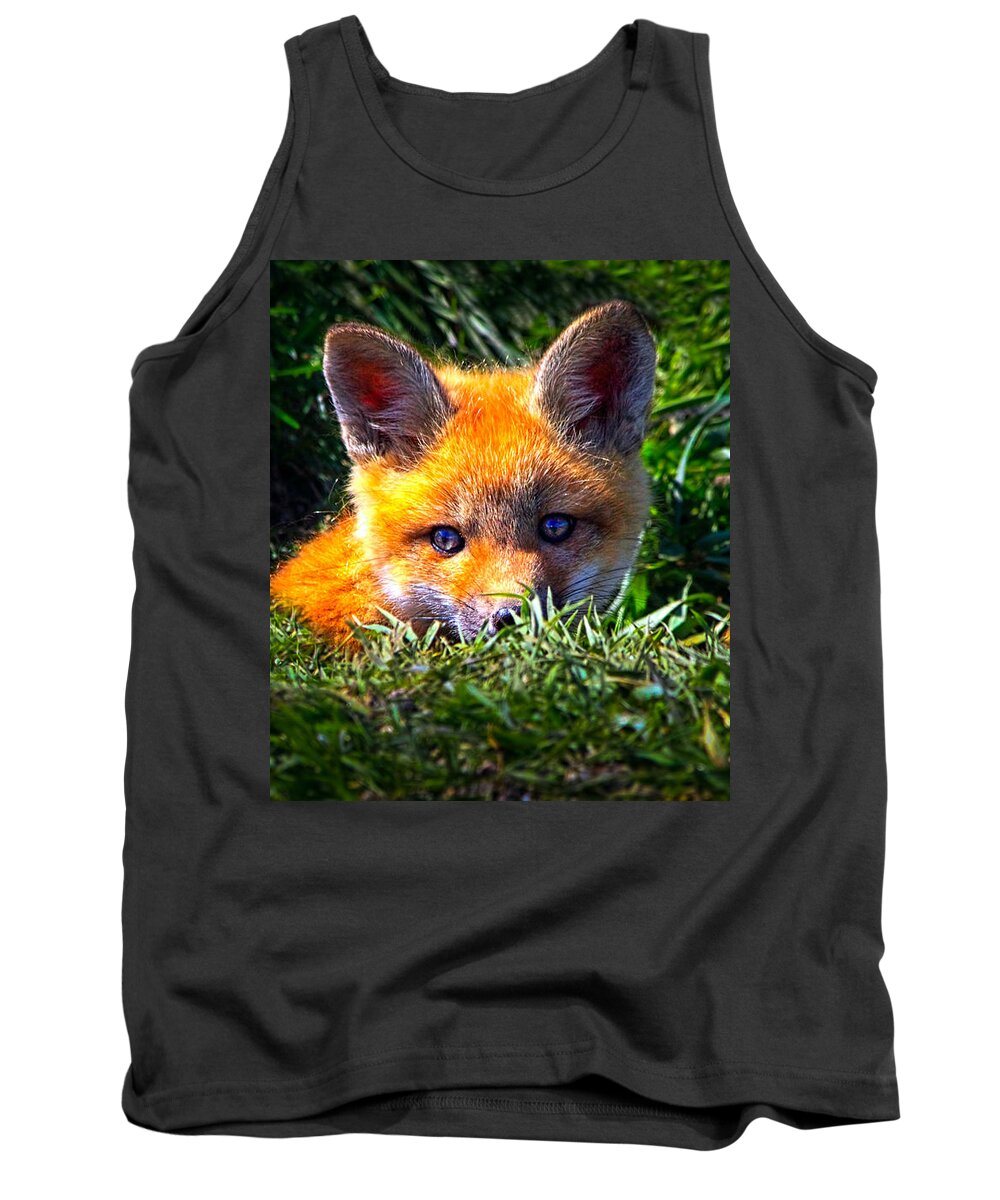 Fox Tank Top featuring the photograph Little Red Fox by Bob Orsillo