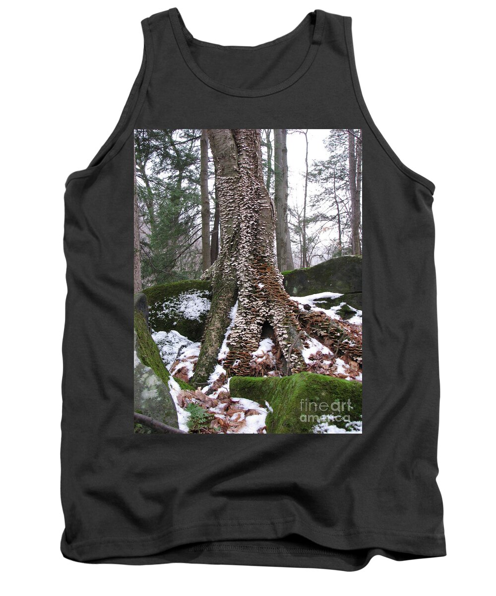 Tinker's Creek Tank Top featuring the photograph Living Together 2 by Michael Krek