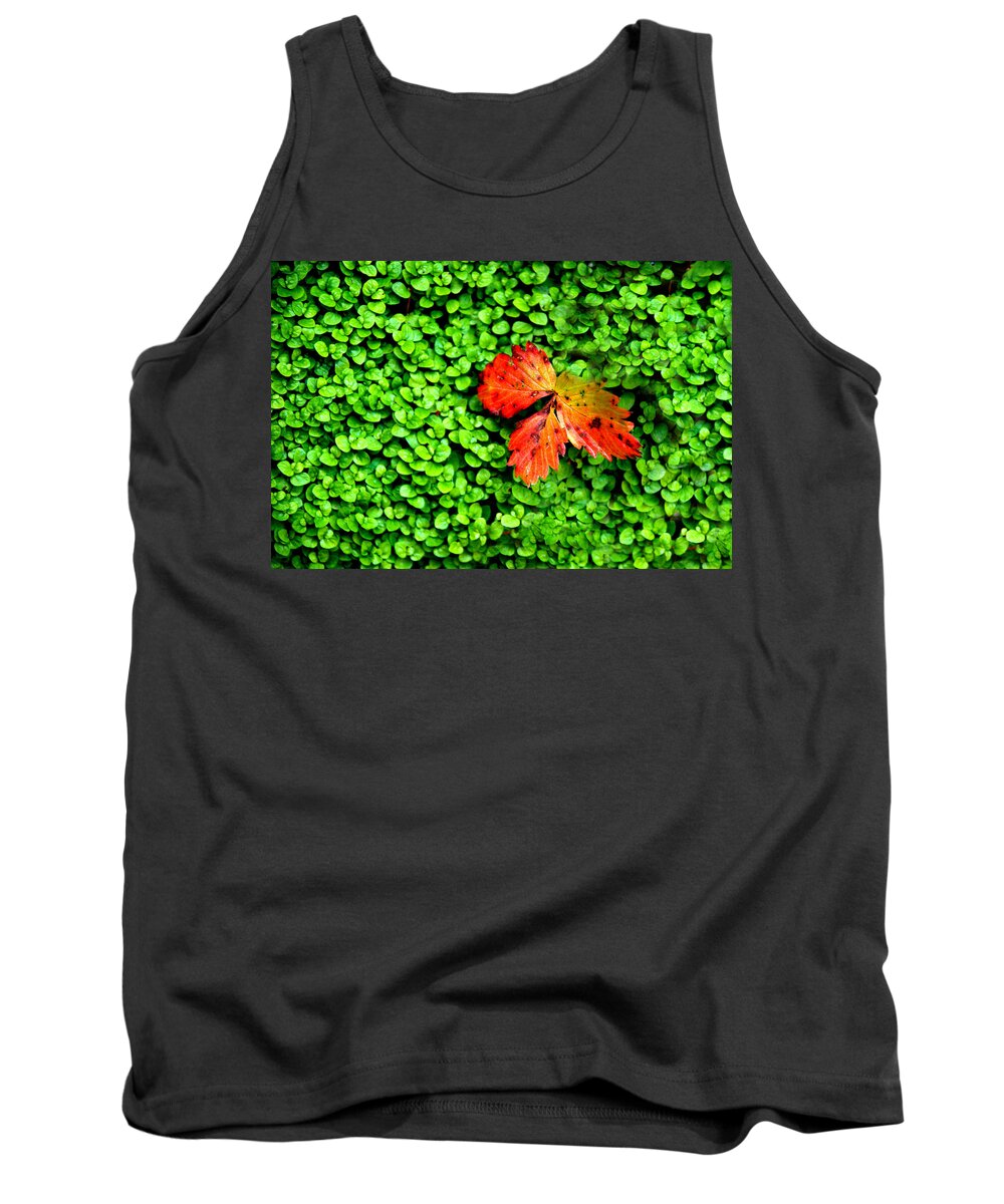 Leaf Tank Top featuring the photograph Lonely Leaf by Norma Brock