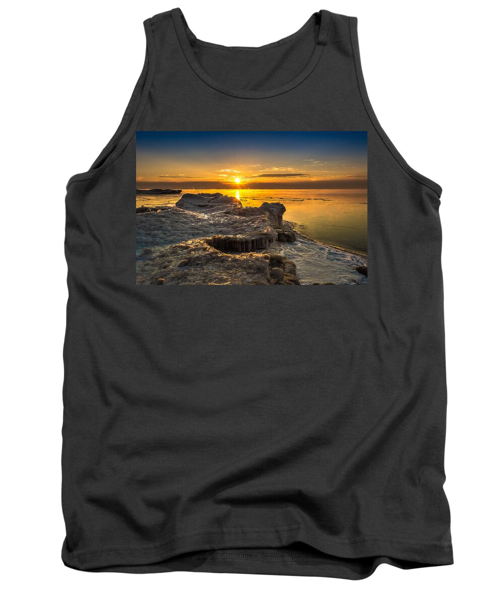 Ice Tank Top featuring the photograph Long Cold Winter III by James Meyer