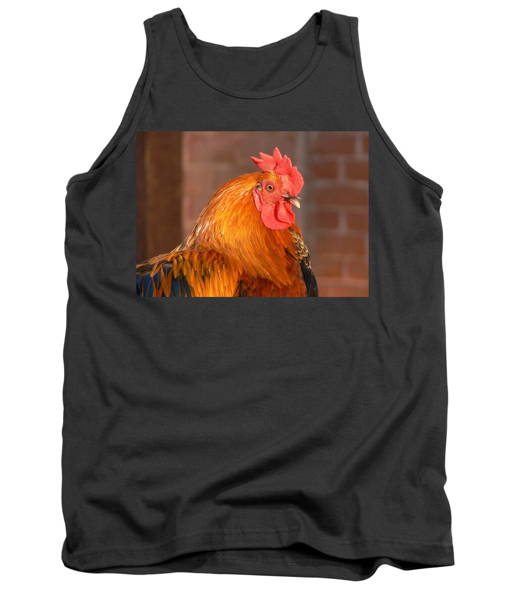 Rooster Tank Top featuring the photograph Look at Me by Laurel Powell