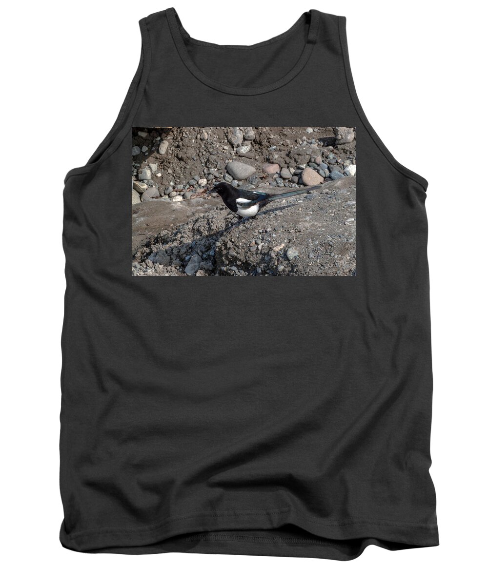 Magpie Tank Top featuring the photograph Looking for Supplies by Thomas Sellberg