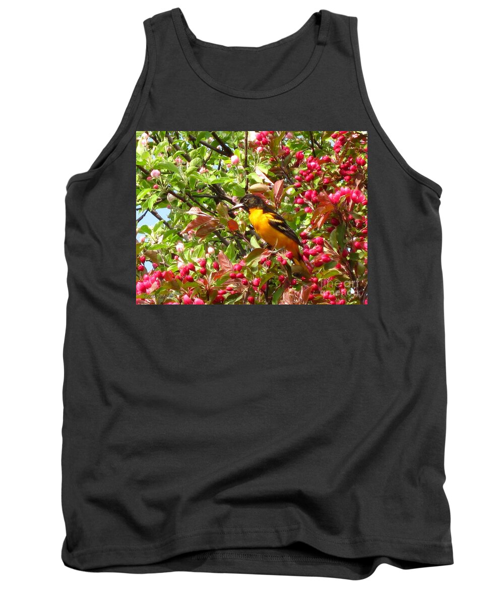Mccombie Tank Top featuring the photograph Male Baltimore Oriole by J McCombie