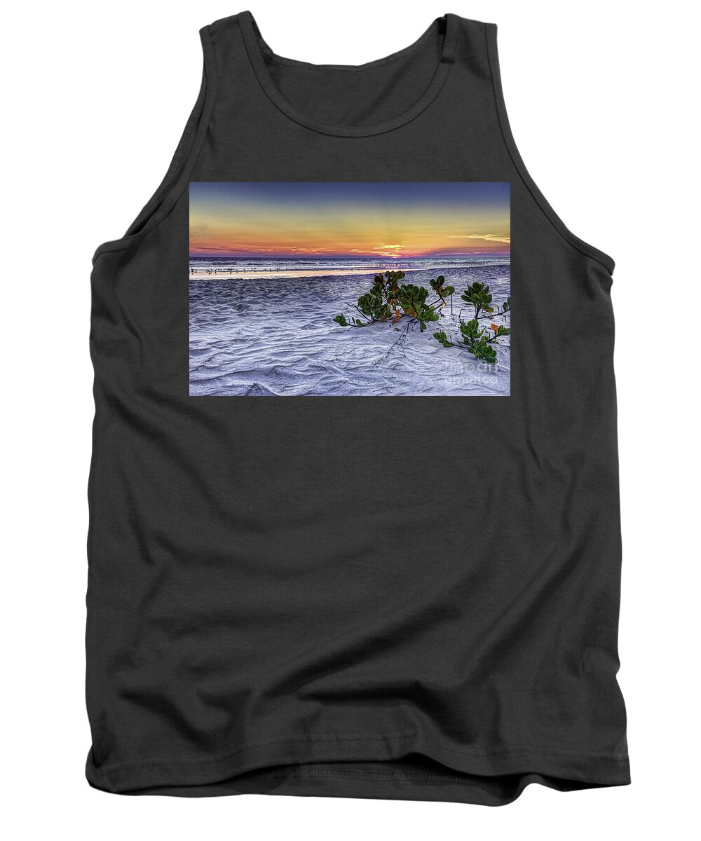 Florida Mangroves Tank Top featuring the photograph Mangrove On The Beach by Marvin Spates