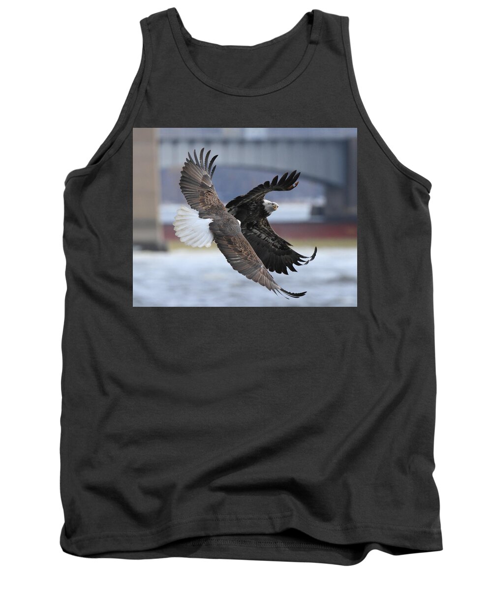 American Bald Eagle Tank Top featuring the photograph Mid Air Fight by Coby Cooper