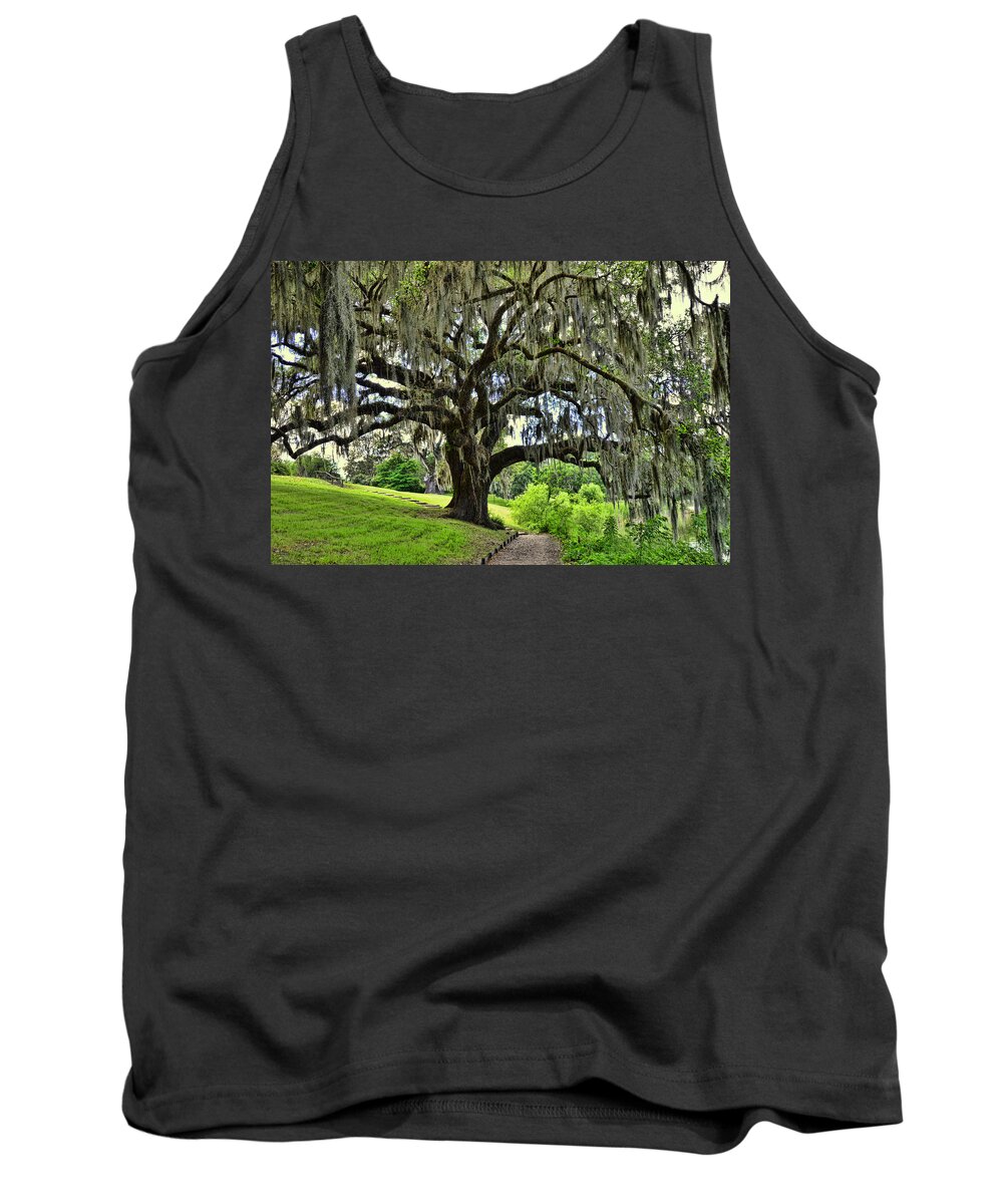 Forest Tank Top featuring the photograph Middleton Place Oak by Allen Beatty