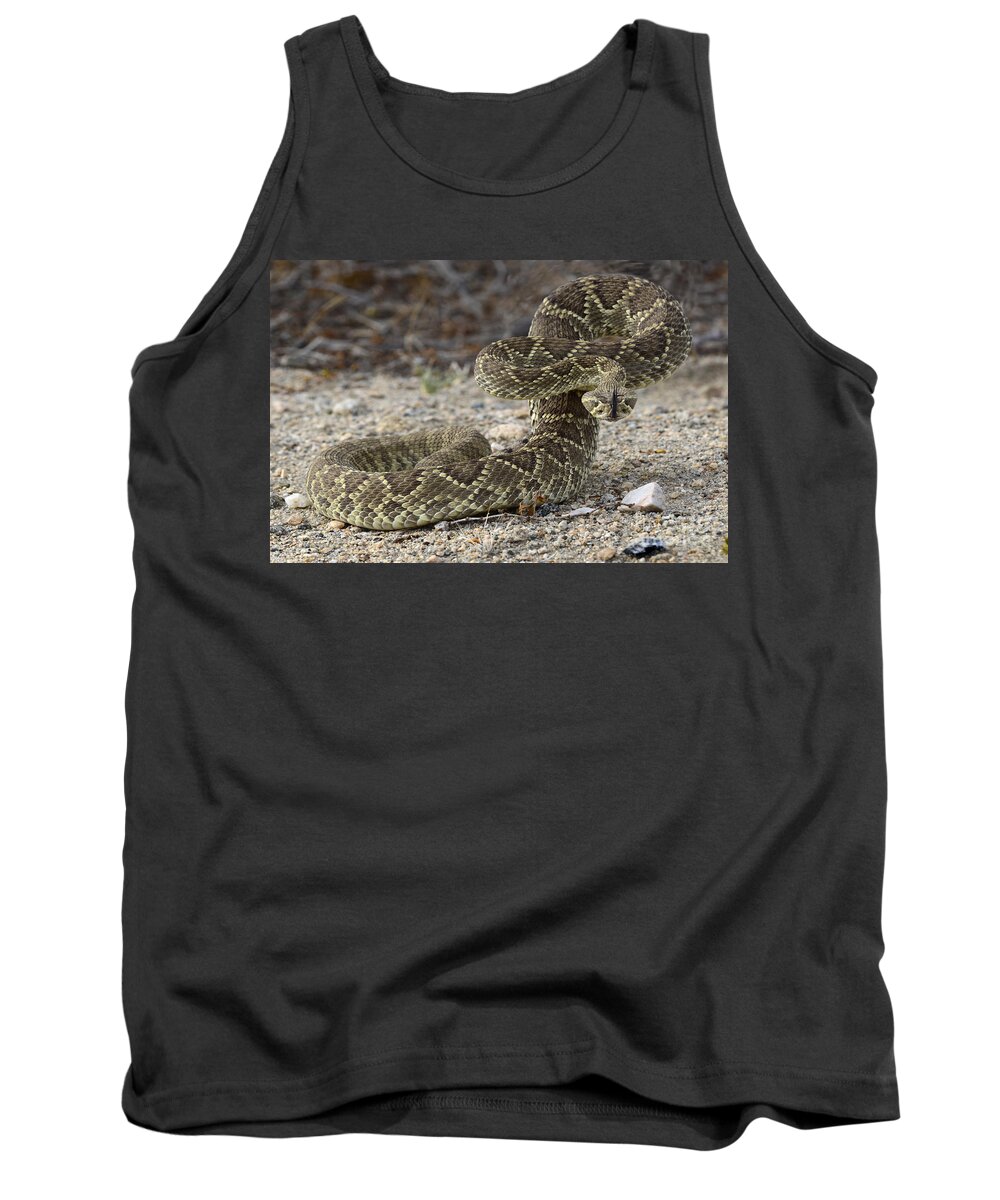 Mojave Tank Top featuring the photograph Mojave Green Rattlesnake Ready And Willing by Bob Christopher
