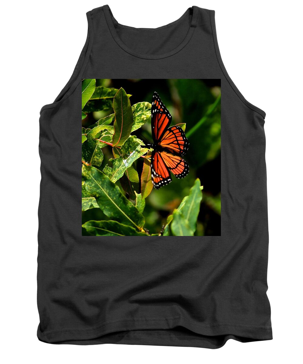 Viceroy Butterfly Tank Top featuring the photograph Viceroy Butterfly II by Michael Saunders