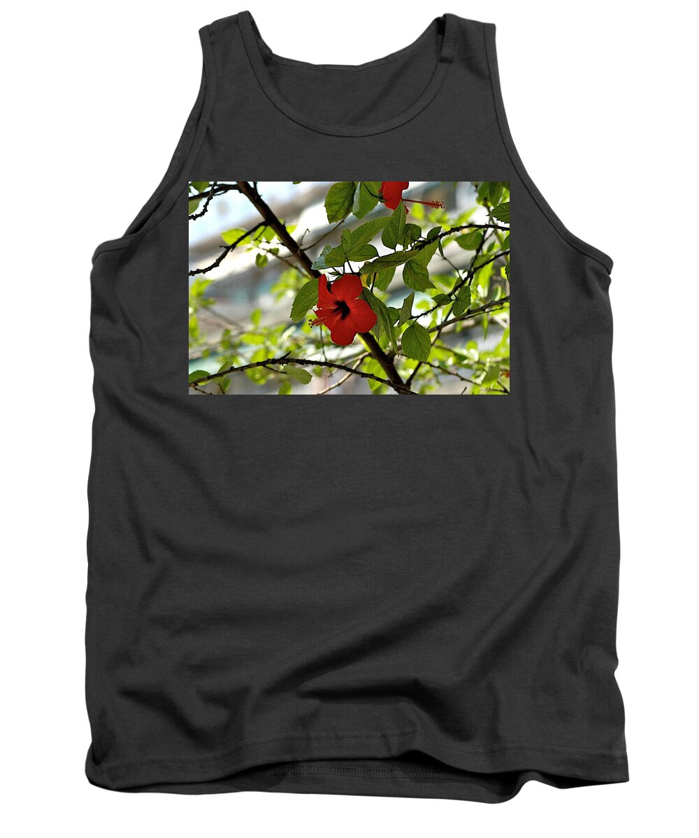 Croatia Tank Top featuring the photograph Monastery by Joseph Yarbrough