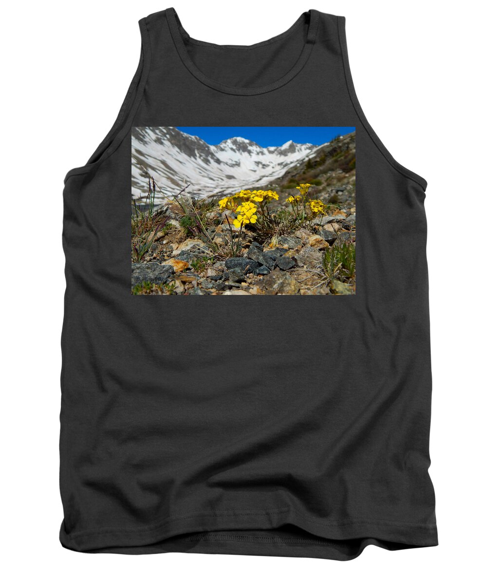 Photo Tank Top featuring the photograph Blue Lakes Colorado Wildflowers by Dan Miller