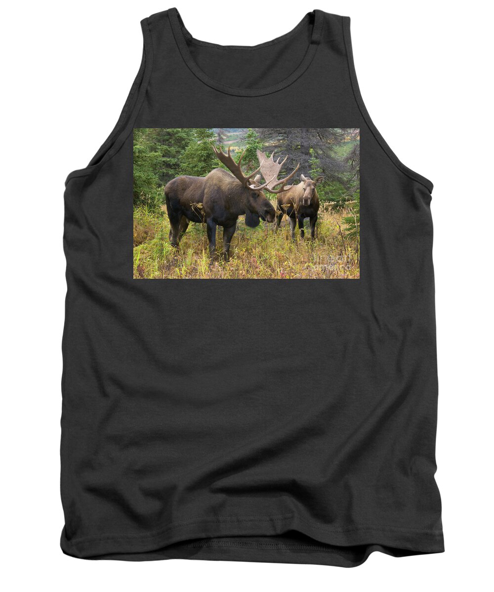 00440992 Tank Top featuring the photograph Moose in Chugach State Park by Yva Momatiuk John Eastcott