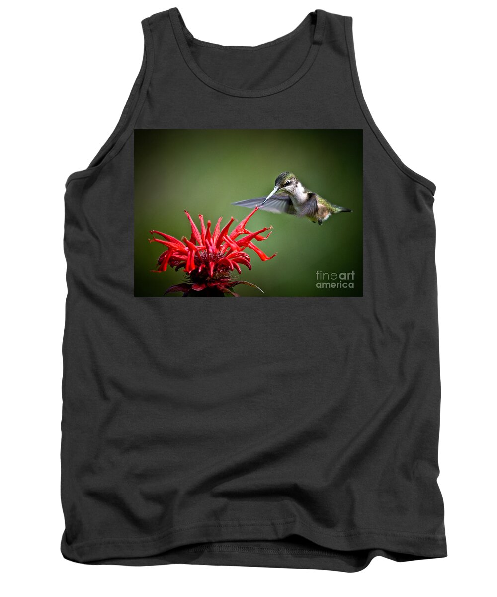 Ruby-throated Hummingbird Tank Top featuring the photograph Morning Meal by Cheryl Baxter