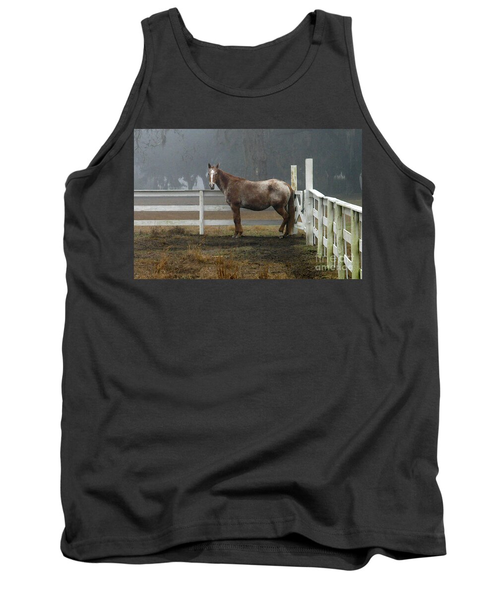Horse Tank Top featuring the photograph Morning Stance by Scott Hansen