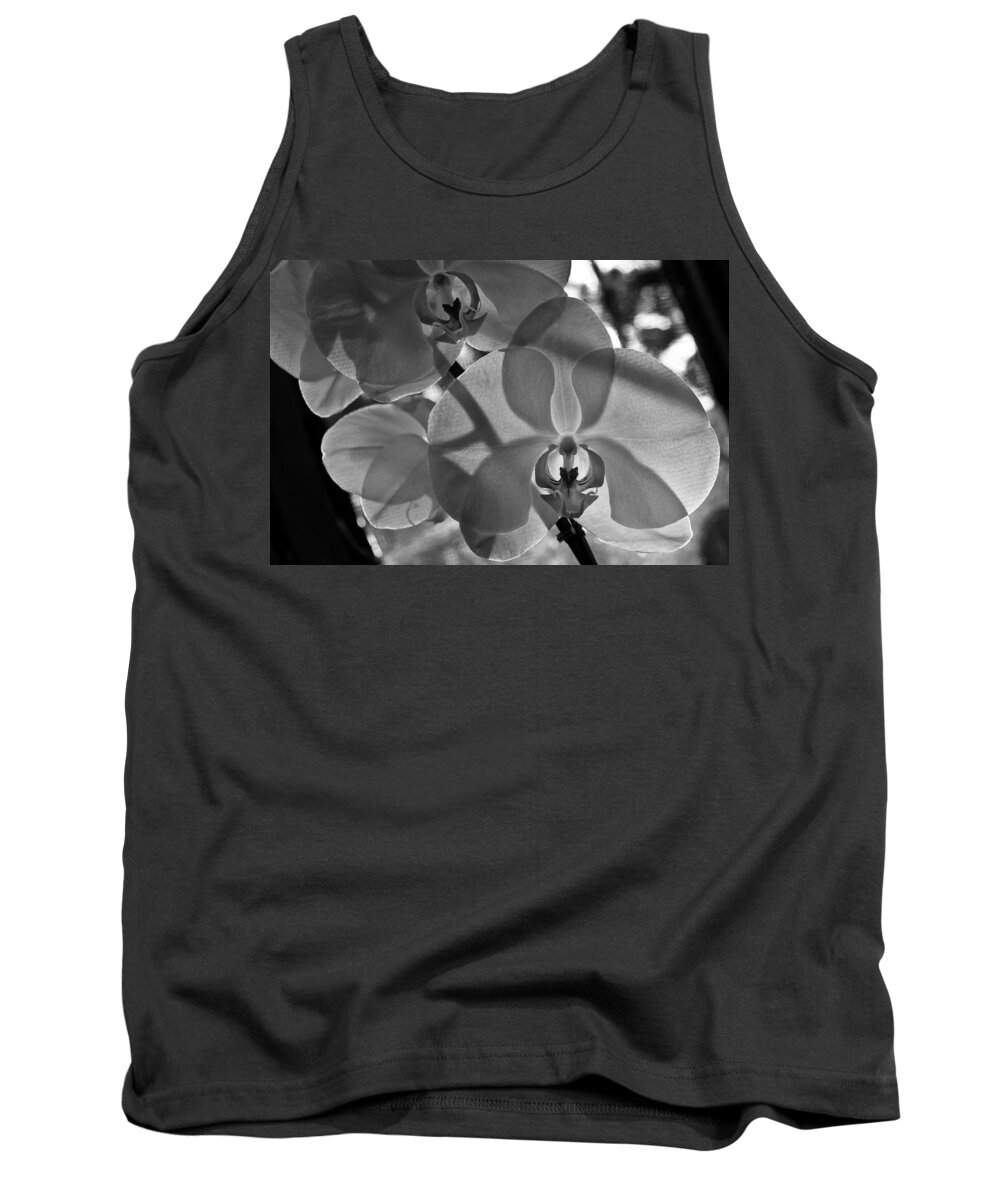 Flower Tank Top featuring the photograph Moth Orchid Backlit by Ron White