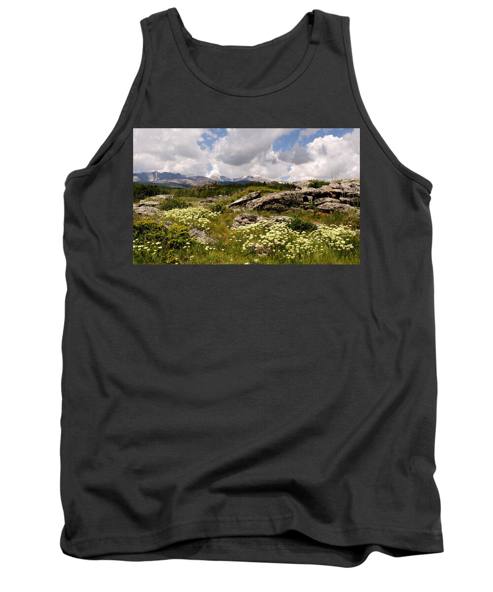 Dakota Tank Top featuring the photograph Mountain Meadow by Greni Graph
