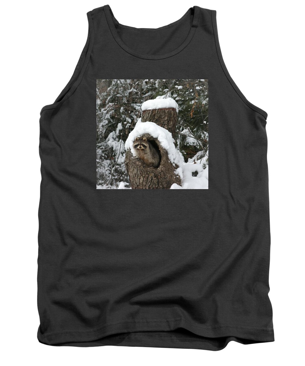 Raccoon Tank Top featuring the photograph Mr. Raccoon by Diane Bohna