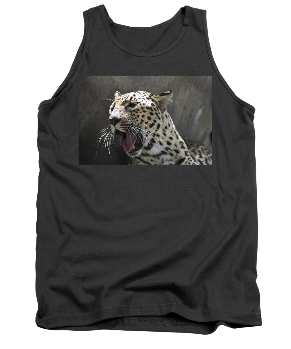 Florida Tank Top featuring the photograph Naples Zoo - Leopard Relaxing 3 by Ronald Reid