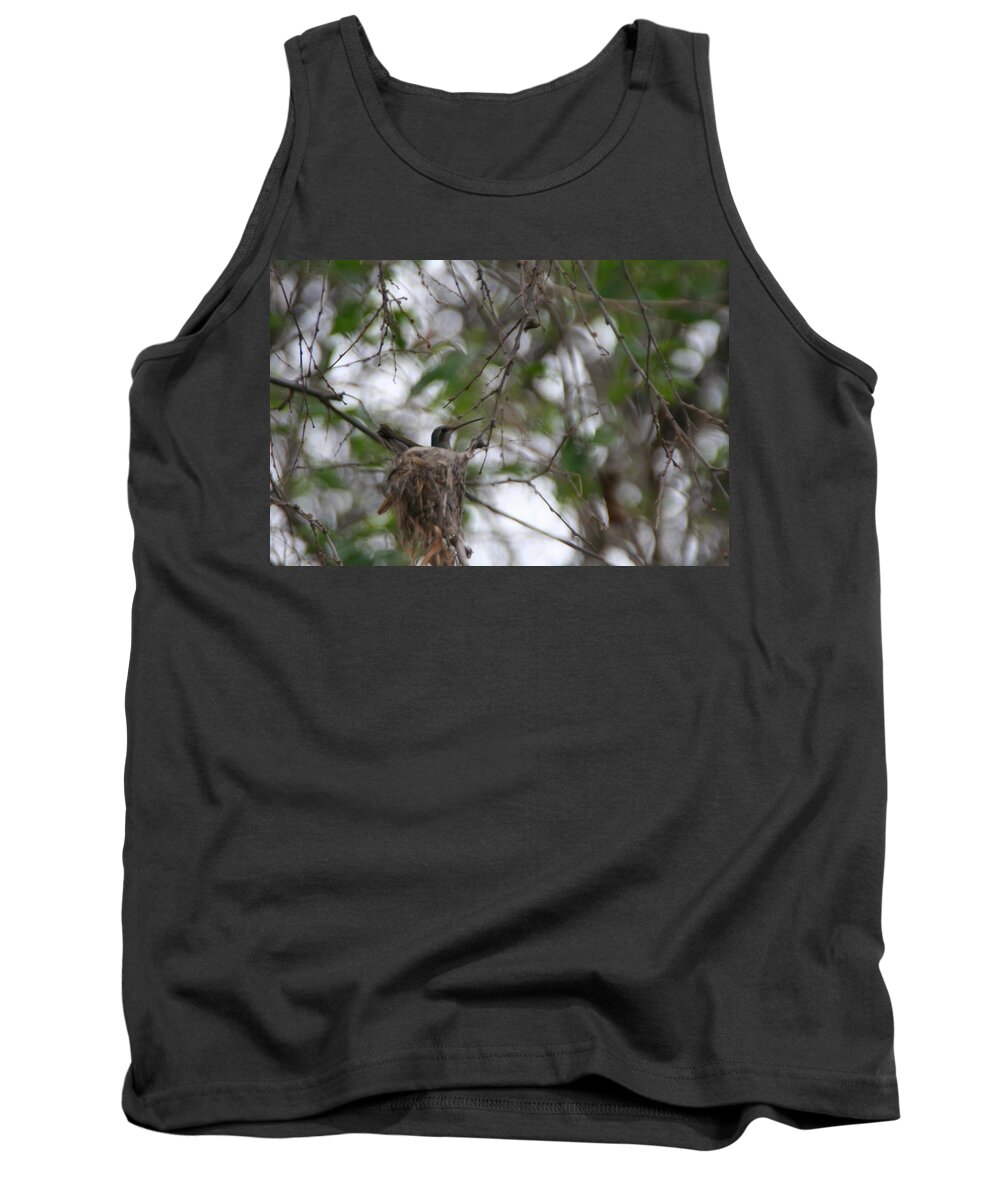 Nest Tank Top featuring the photograph Nesting by David S Reynolds