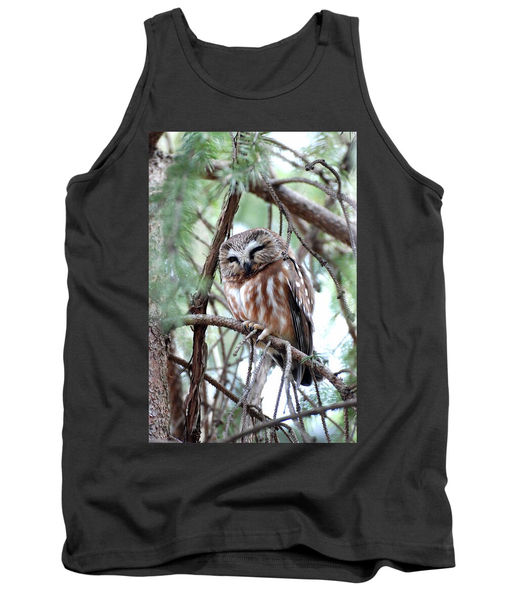 Northern Saw-whet Owl Tank Top featuring the photograph Northern Saw-Whet Owl 2 by Tracy Winter
