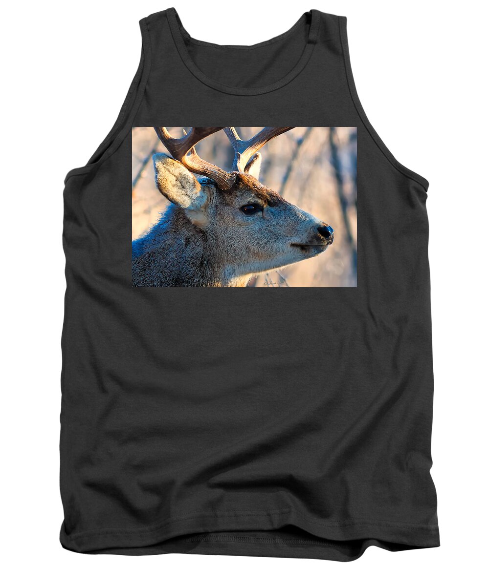 Deer Tank Top featuring the photograph Oh Dear Deer by Lena Owens - OLena Art Vibrant Palette Knife and Graphic Design