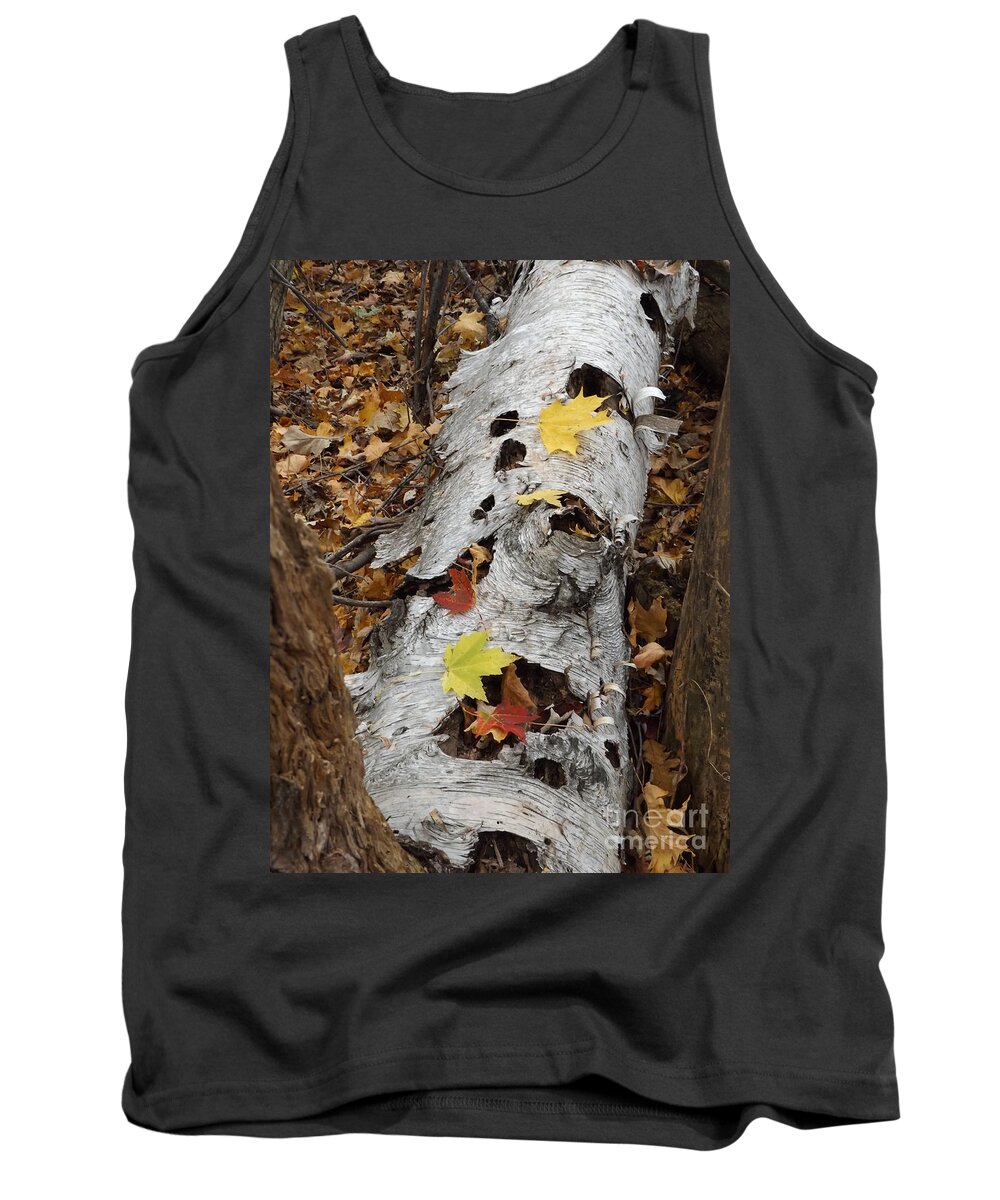 Nature Fall Autumn Birch Tree Outdoors Hunting Tank Top featuring the photograph Old Fallen Birch by Erick Schmidt