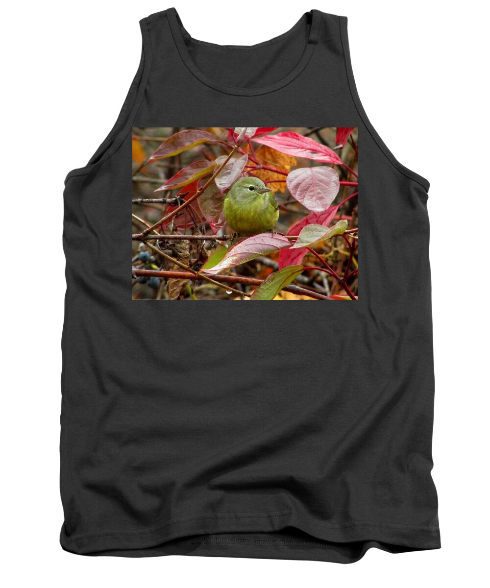 Warbler Tank Top featuring the photograph Orange Crowned Warbler by Kimberly Mackowski