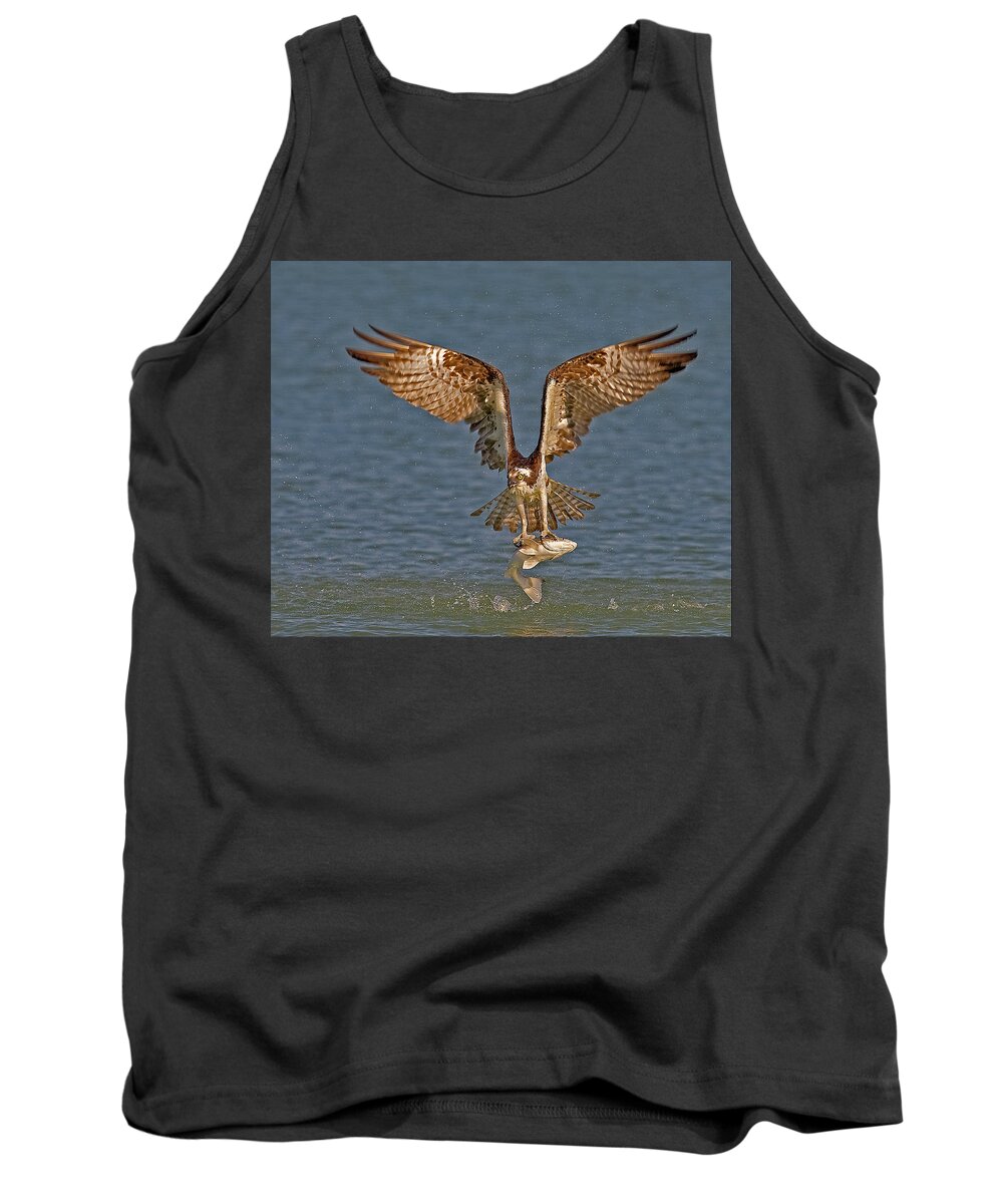 Osprey Tank Top featuring the photograph Osprey Morning Catch by Susan Candelario