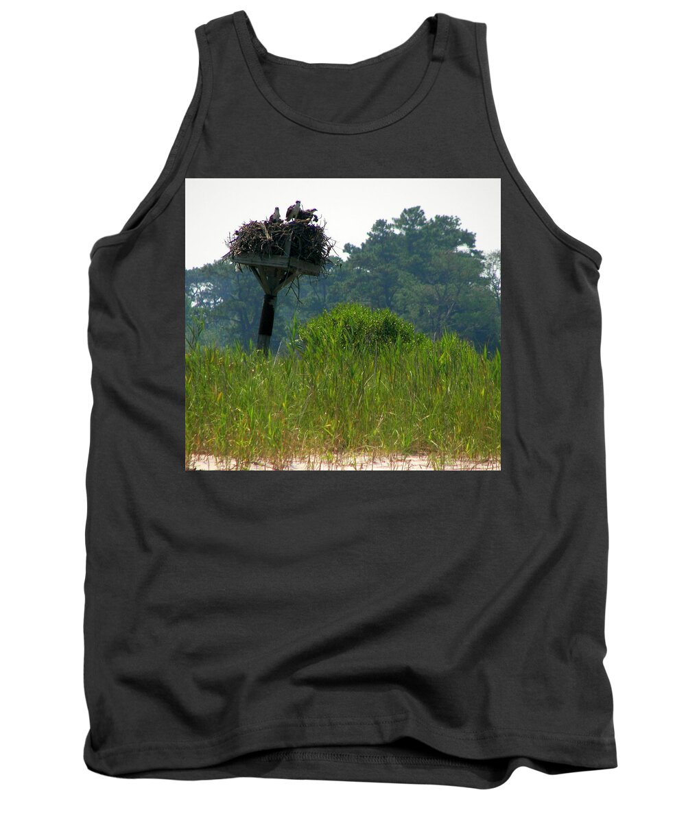 Osprey Tank Top featuring the photograph Osprey Waiting for Dinner by Pamela Hyde Wilson