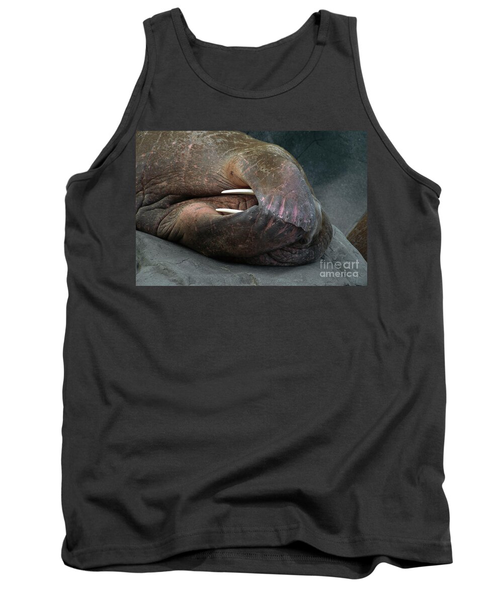 00344027 Tank Top featuring the photograph Pacific Walrus Snoozing by Yva Momatiuk John Eastcott