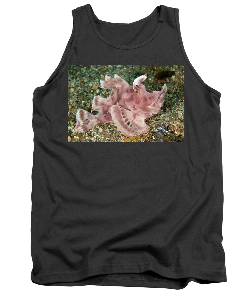 Flpa Tank Top featuring the photograph Paddle-flap Scorpionfish Lembeh Straits by Colin Marshall
