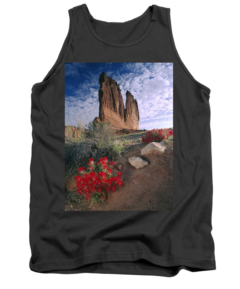 00175001 Tank Top featuring the photograph Paintbrush and Organ Rock by Tim Fitzharris