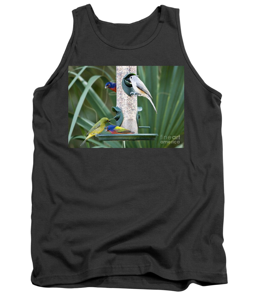 Painted Buntings Tank Top featuring the photograph Painted Buntings and Titmouse by John Greco