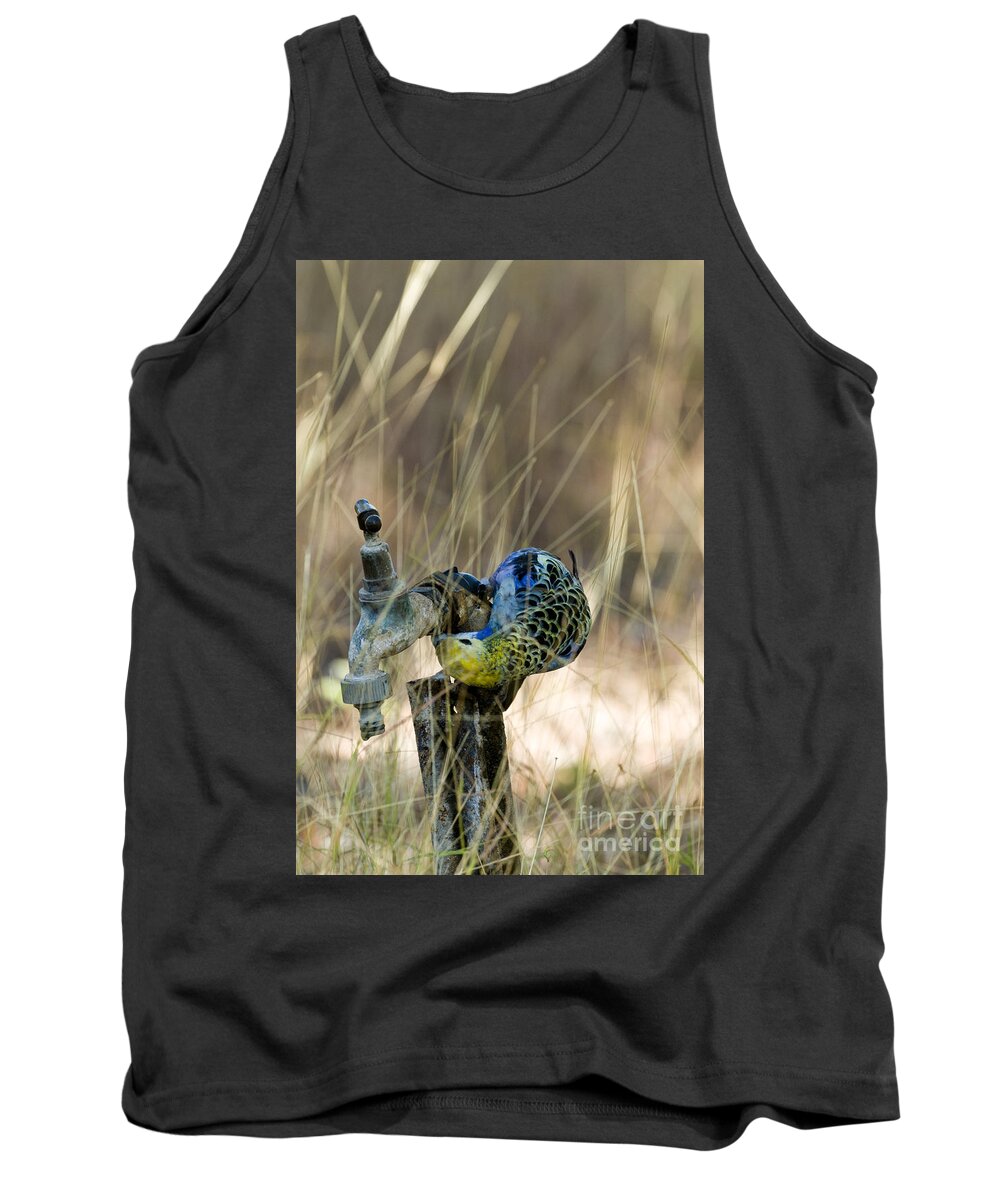Pale-headed Rosella Tank Top featuring the photograph Pale-headed Rosella by William H. Mullins