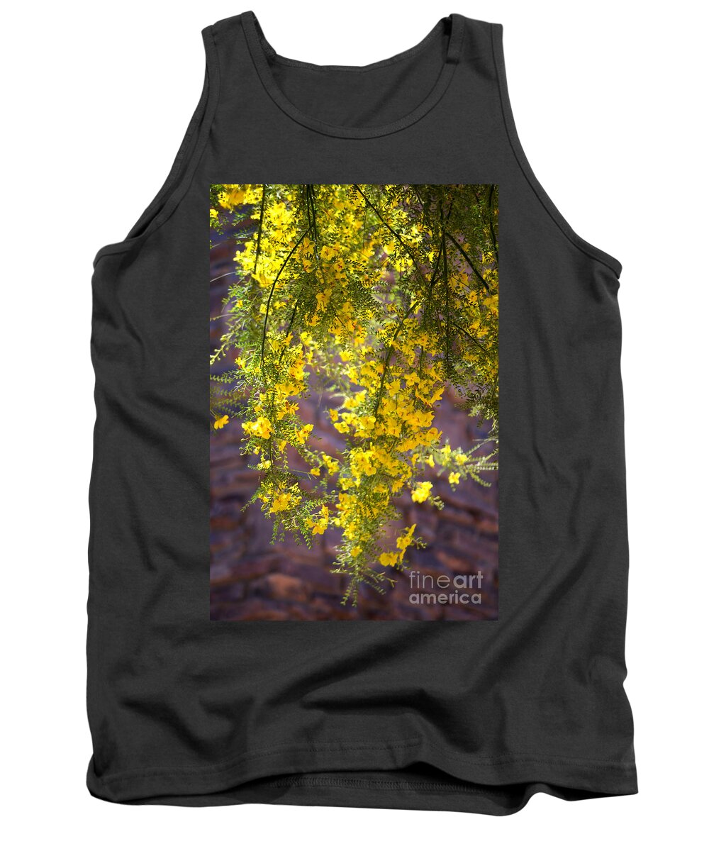 Palo Verde Tree Tank Top featuring the photograph Palo Verde Blossoms by Deb Halloran