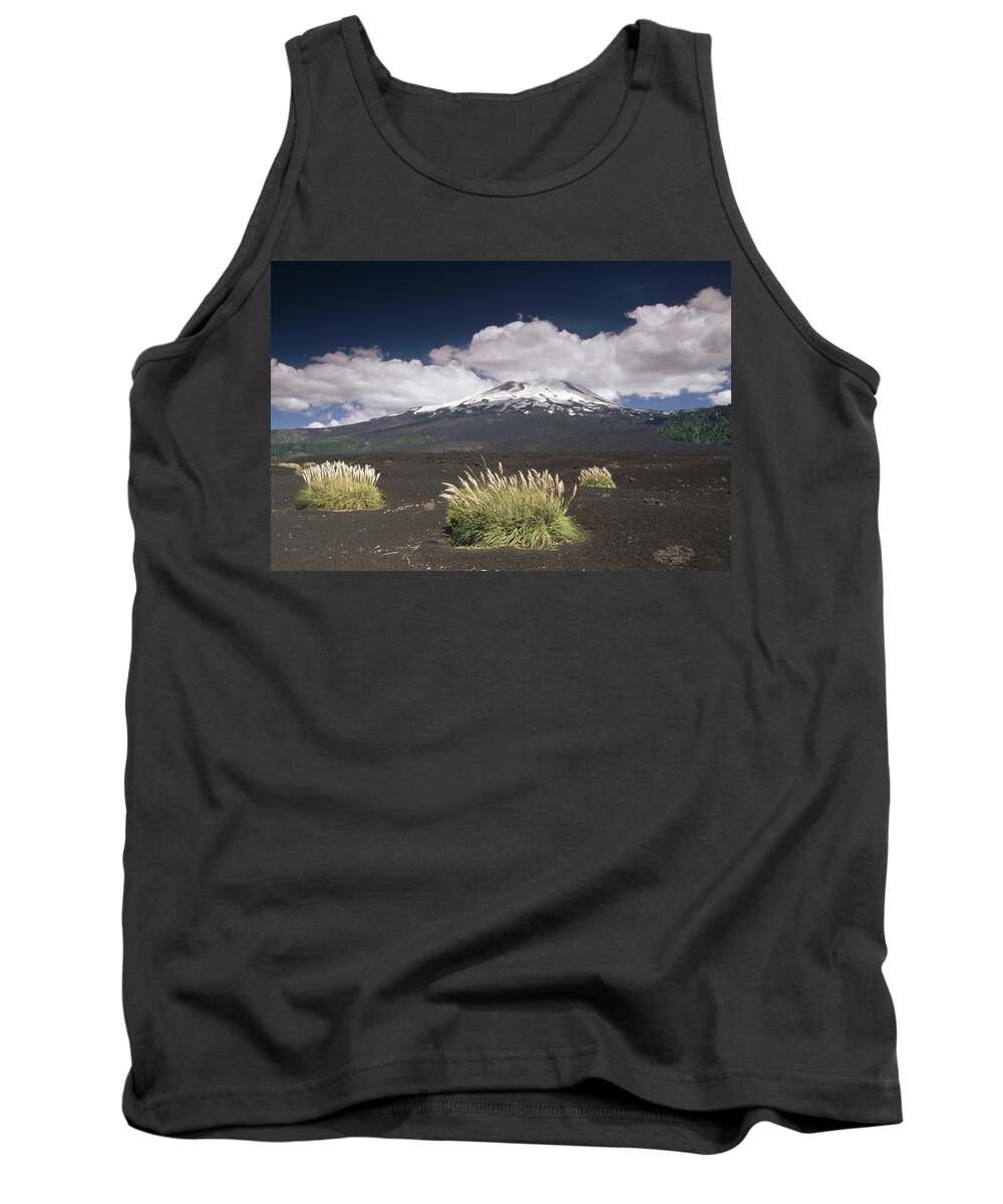 Feb0514 Tank Top featuring the photograph Pampas Grass Islands In Old Lava Flow by Gerry Ellis