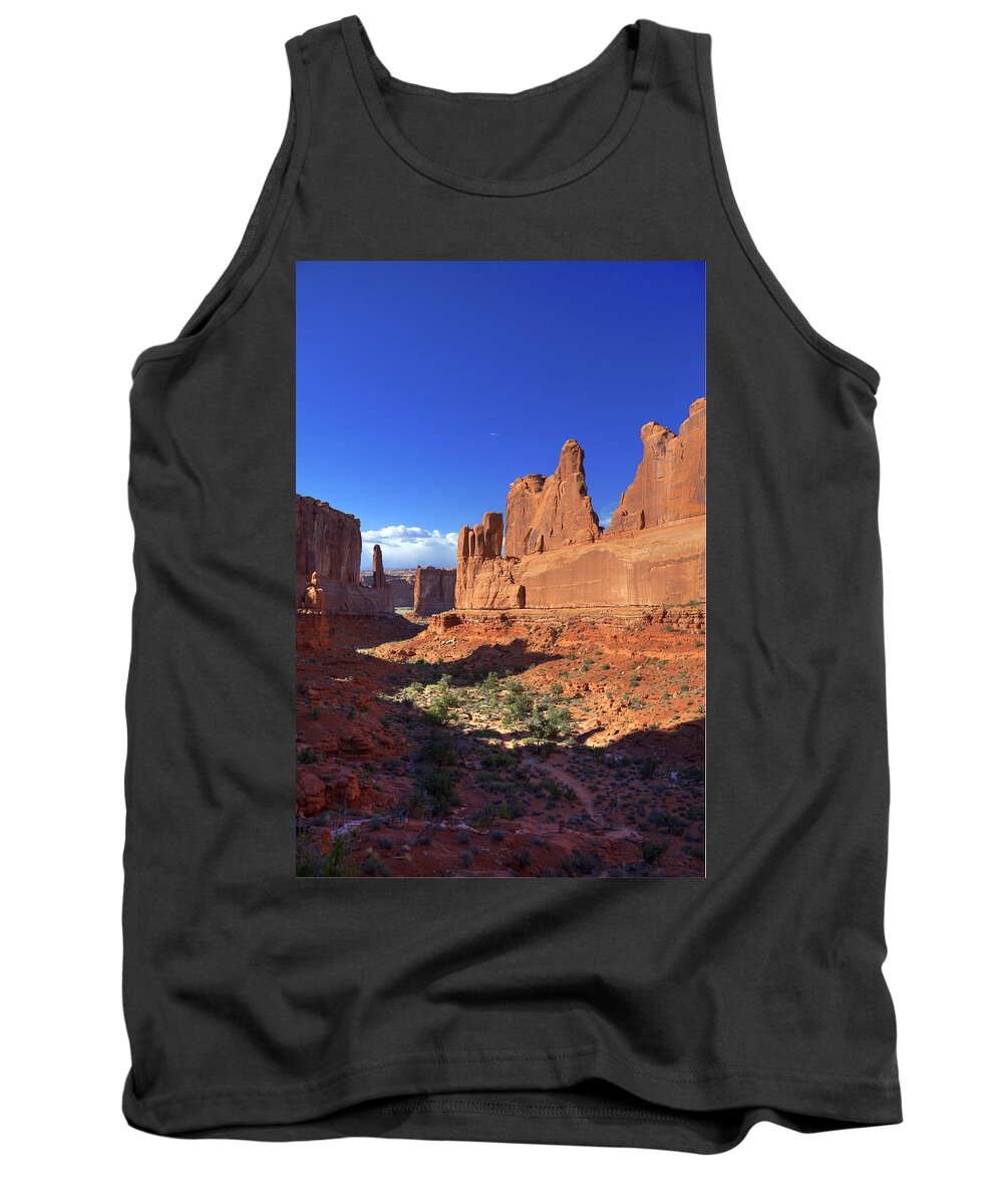Rock Tank Top featuring the photograph Park Avenue Sunset by Alan Vance Ley