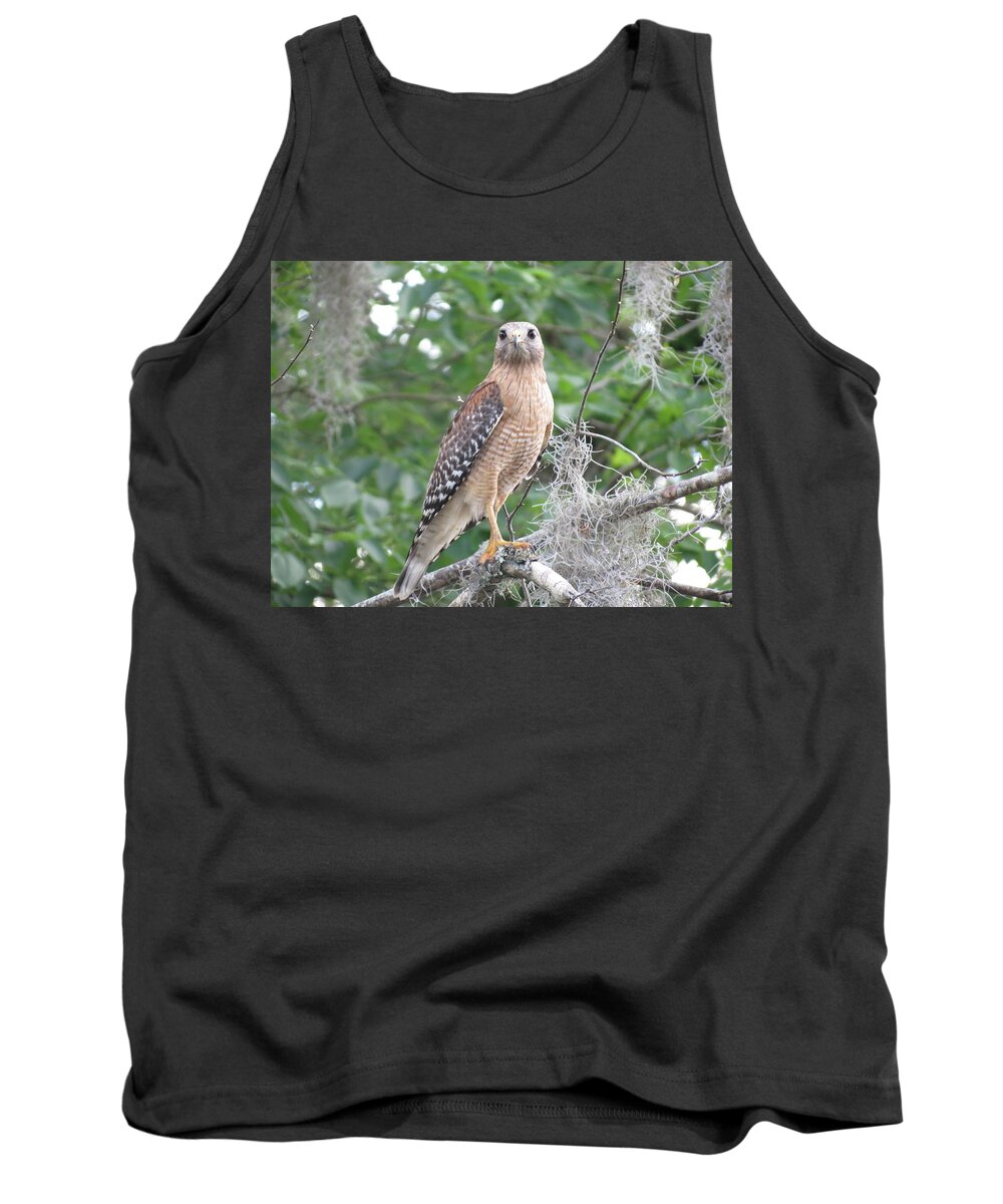 Nature Tank Top featuring the photograph Pay Attention by Fortunate Findings Shirley Dickerson