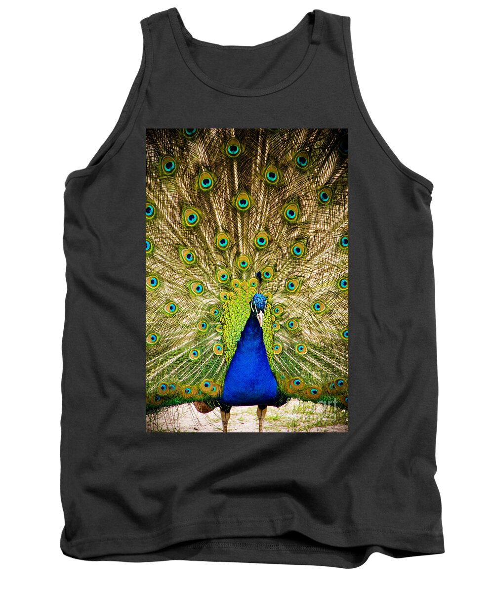 Bird Tank Top featuring the photograph Peacock by Brothers Beerens