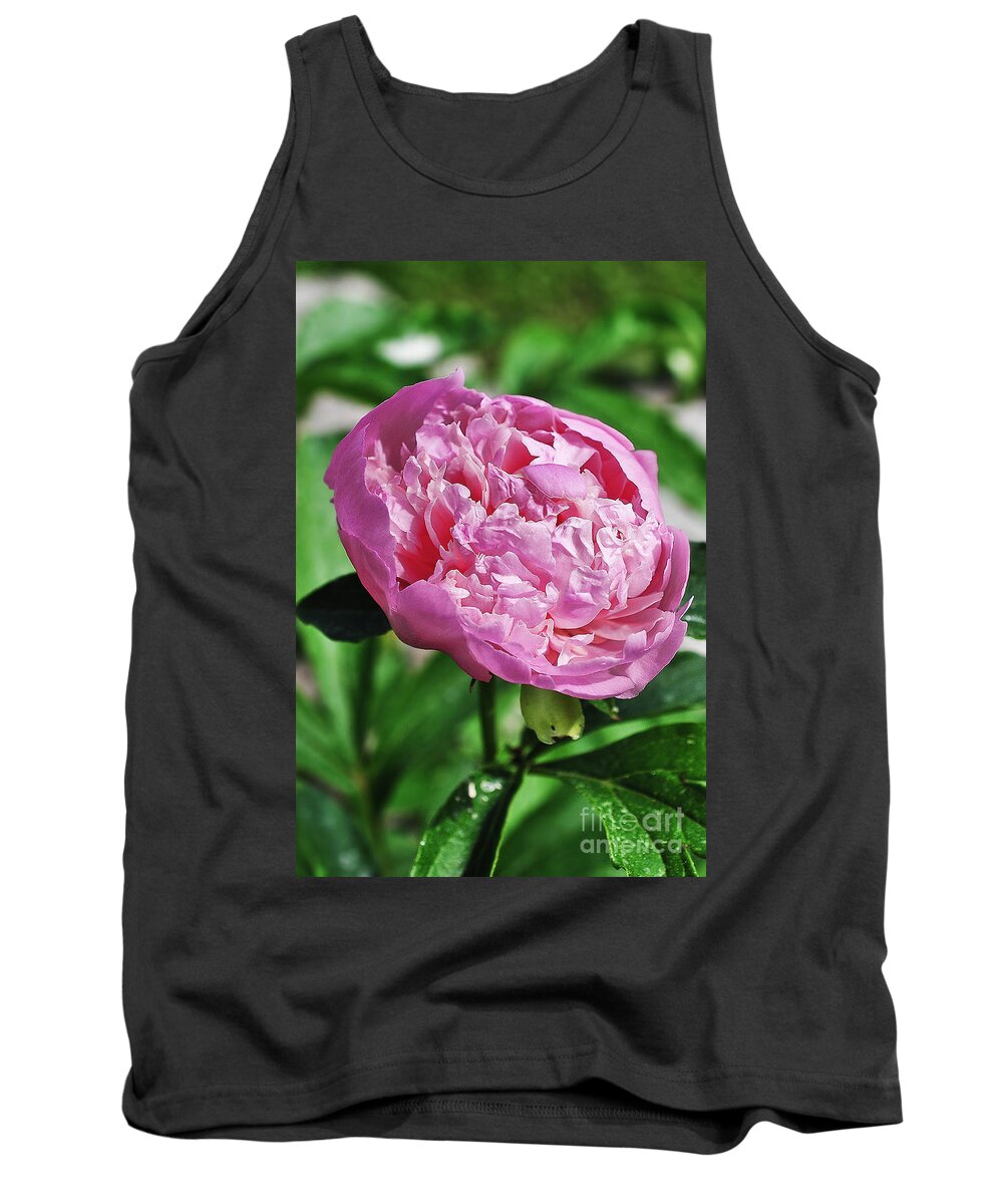 Peony Tank Top featuring the photograph Peony by Gwen Gibson