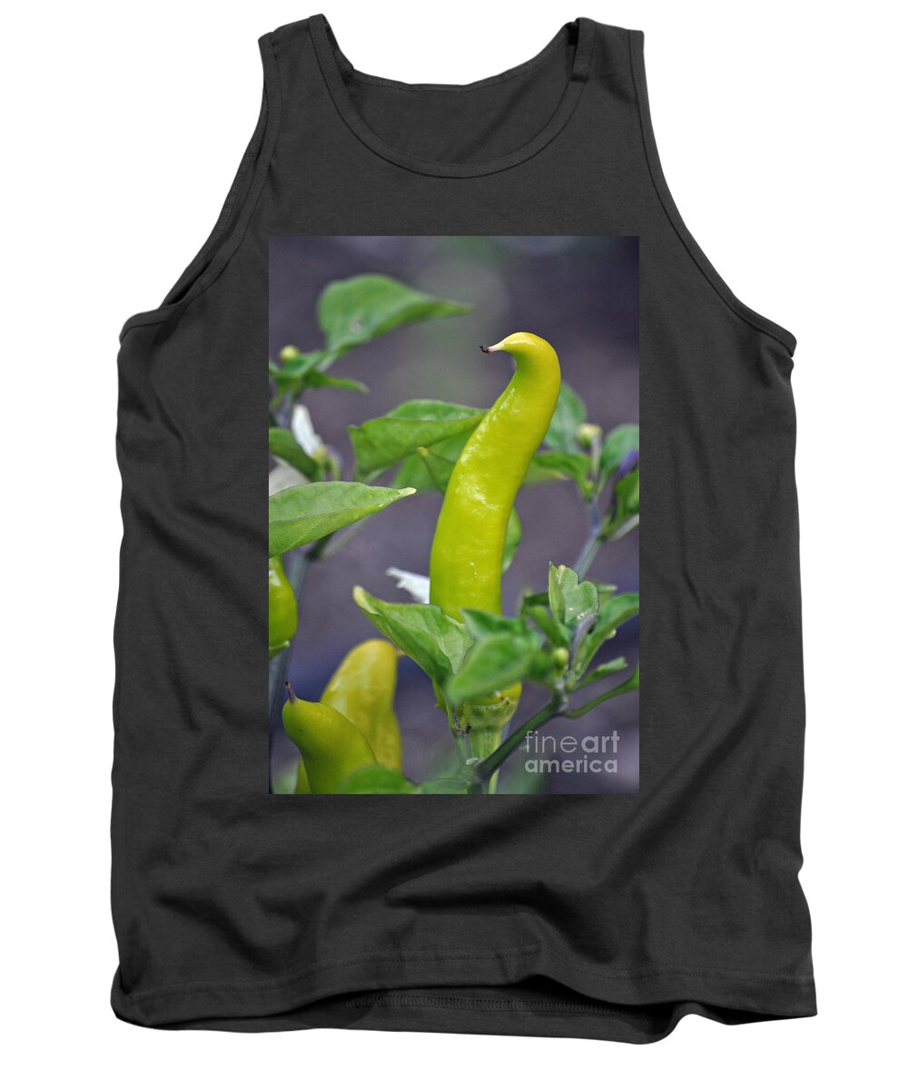 Pepper Banana Yellow Sweet Vegetable Garden Food Green Spicy Seed Cute Humor Funny Shape Personality Gwyn Newcombe Tank Top featuring the photograph Pepper Personality by Gwyn Newcombe