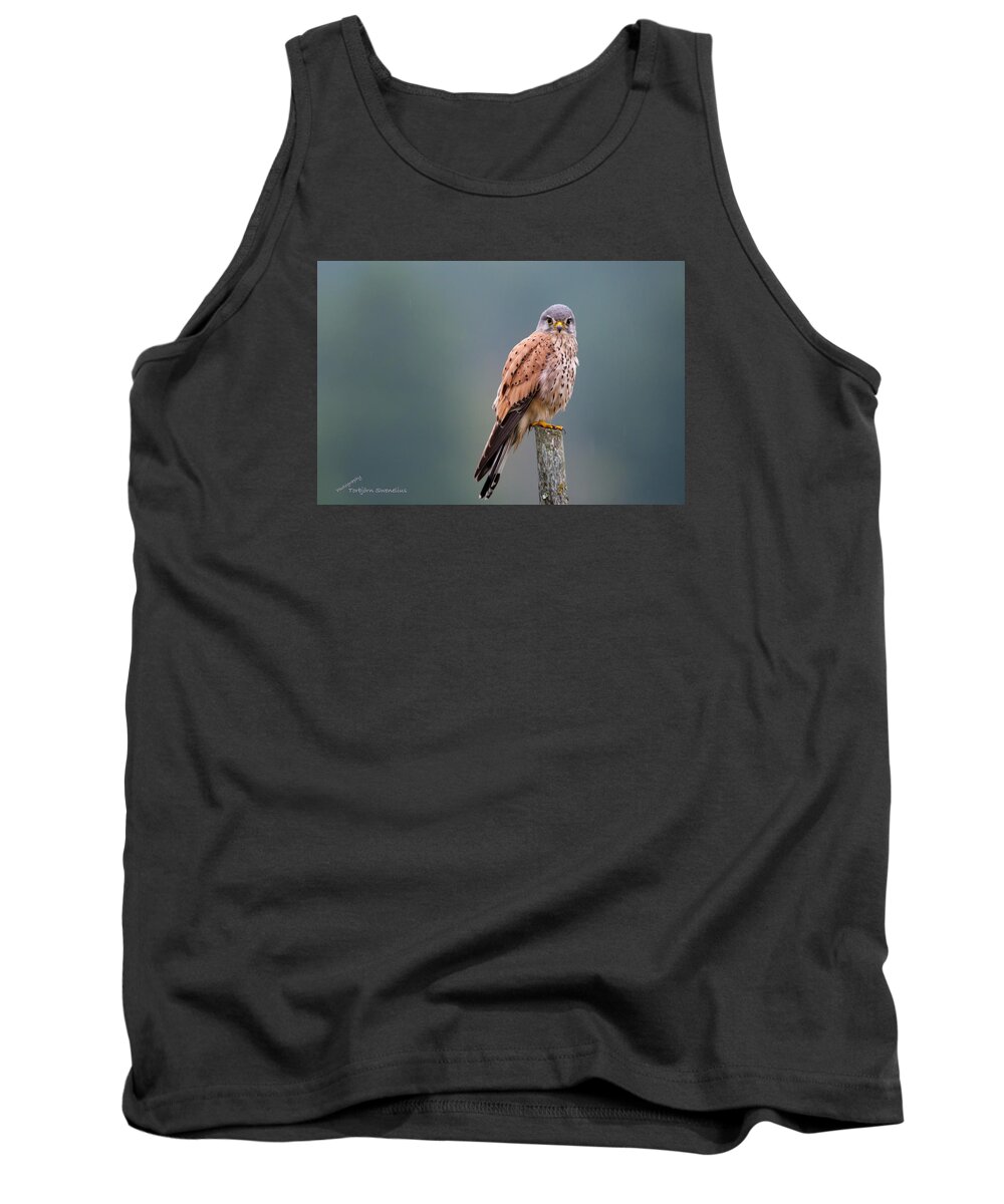 Perching Kestrel Tank Top featuring the photograph Perching by Torbjorn Swenelius