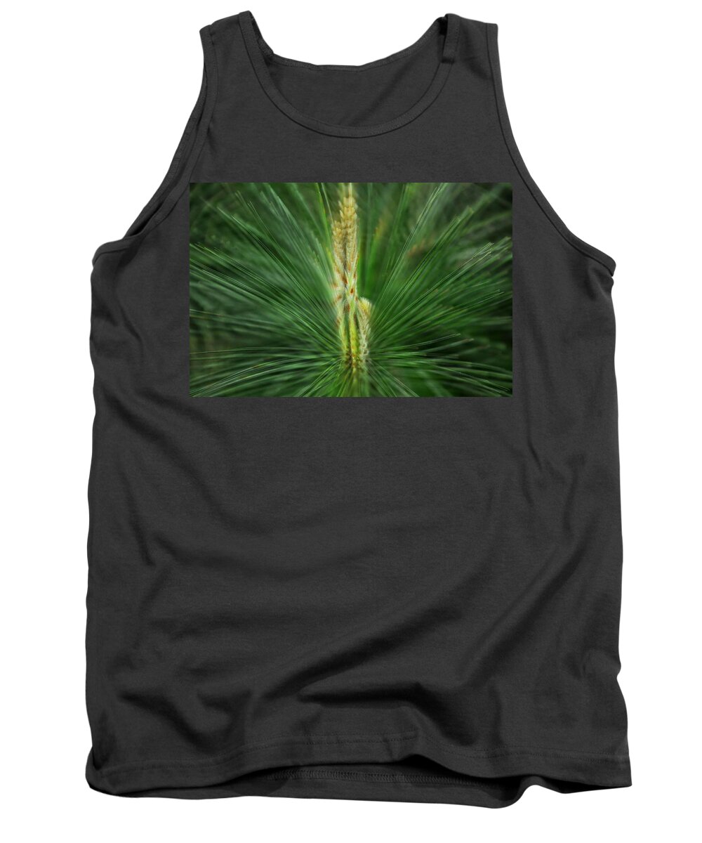 Pine Tank Top featuring the photograph Pine Cone and Needles by Phyllis Meinke