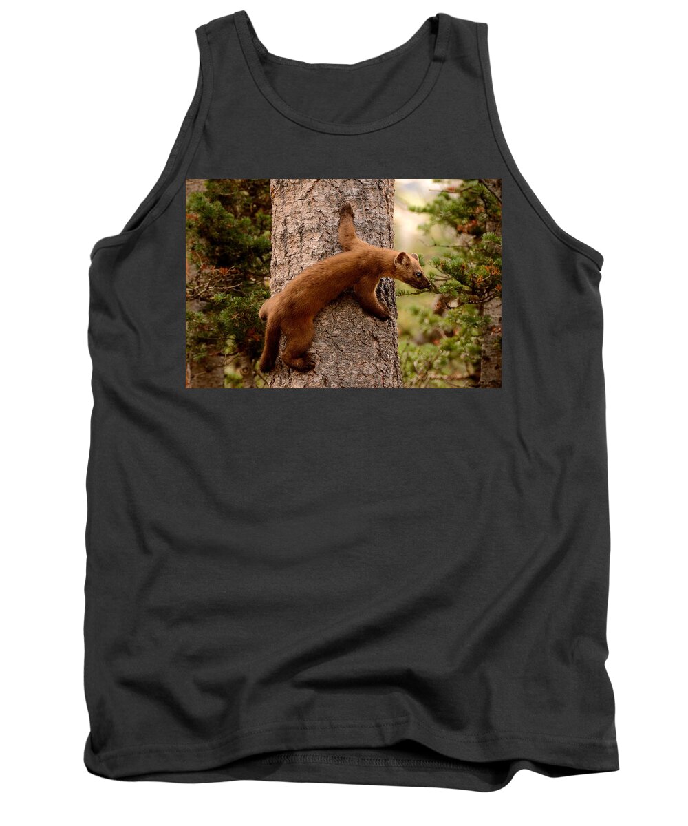 American Tank Top featuring the photograph Pine Marten on a Tree by Tranquil Light Photography