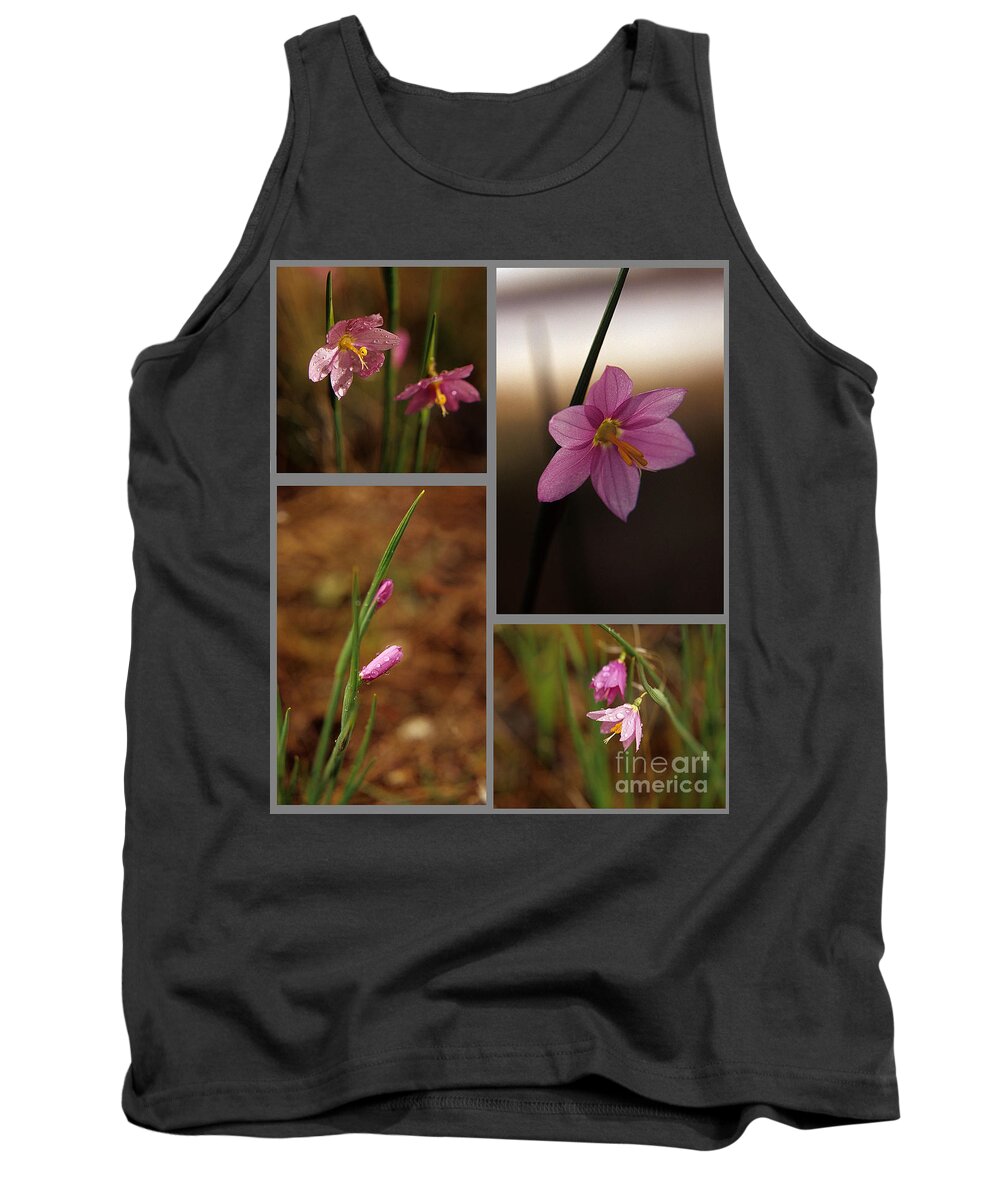 Pink Flower Tank Top featuring the photograph Pink Beauties by Sharon Elliott