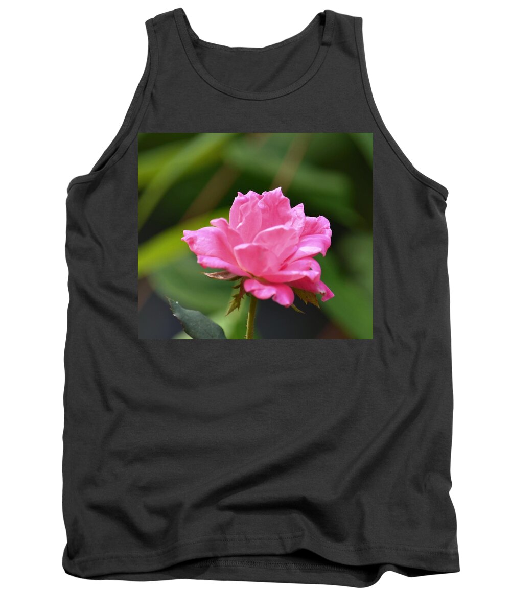 Pink Miniature Rose Tank Top featuring the photograph Pink Miniature Rose by Maria Urso