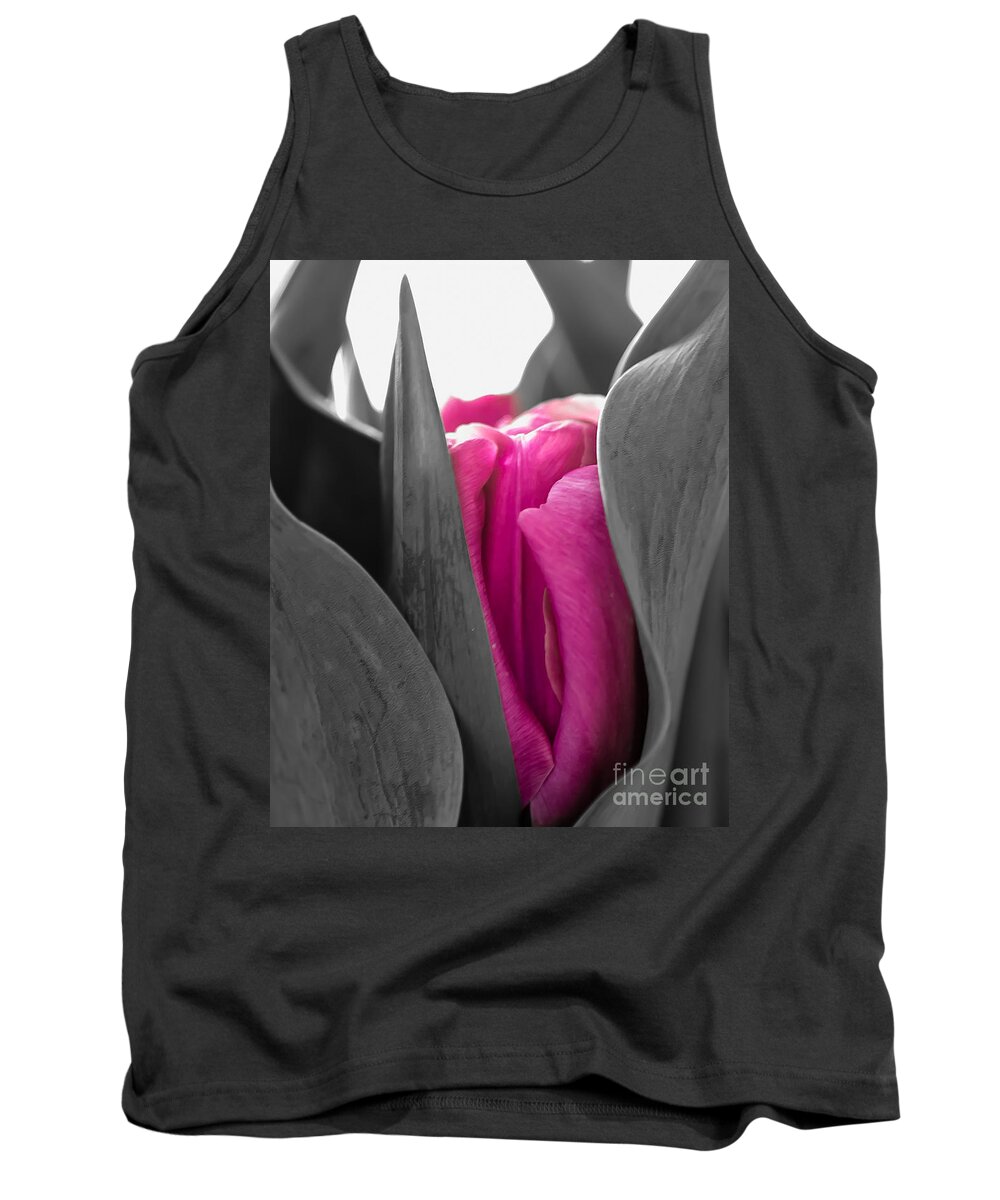 Tulip Tank Top featuring the photograph Pink Passion by Bianca Nadeau