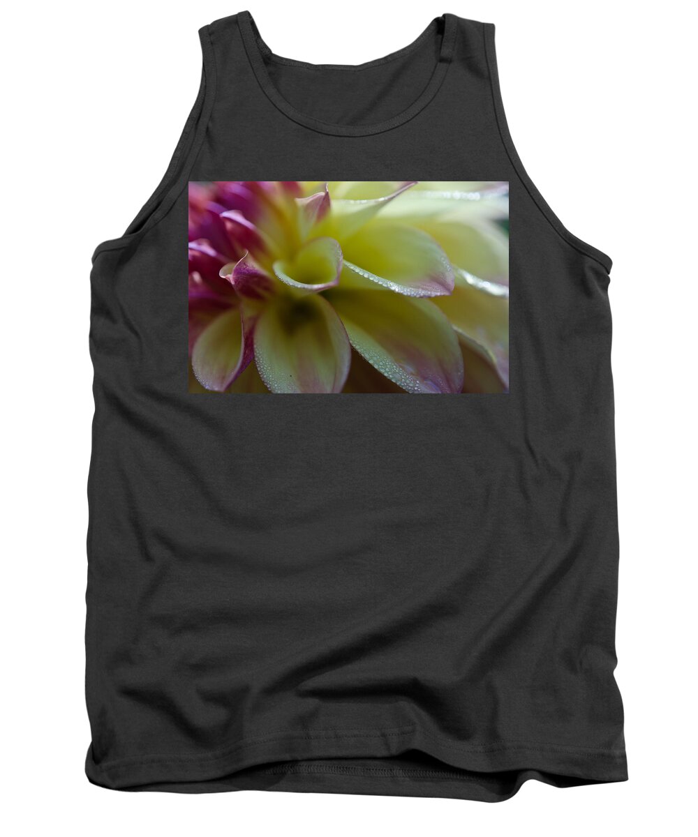 Dahlia Tank Top featuring the photograph Pink Water Dahlia by Kathy Paynter