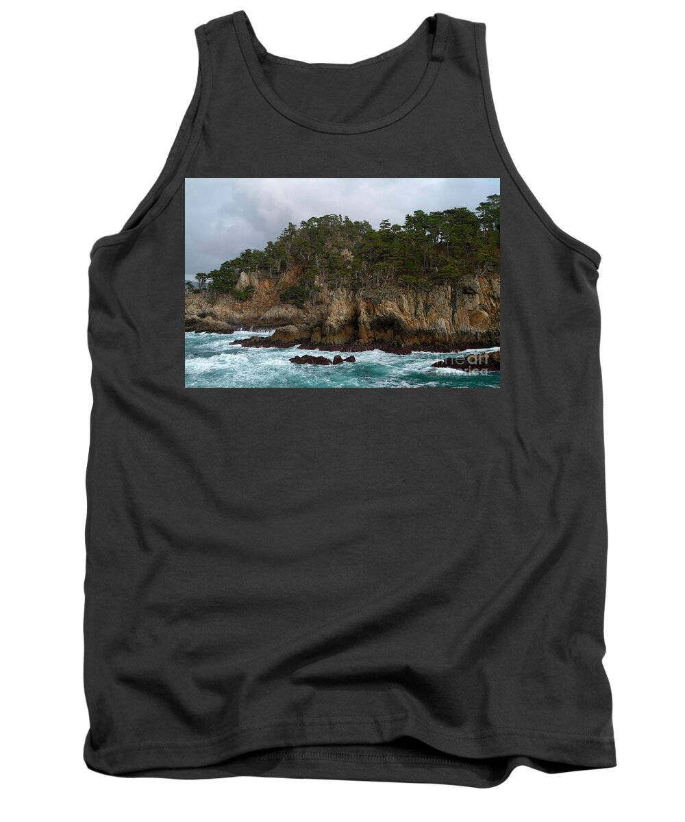 Point Lobos Tank Top featuring the photograph Point Lobos Coastal View by Charlene Mitchell